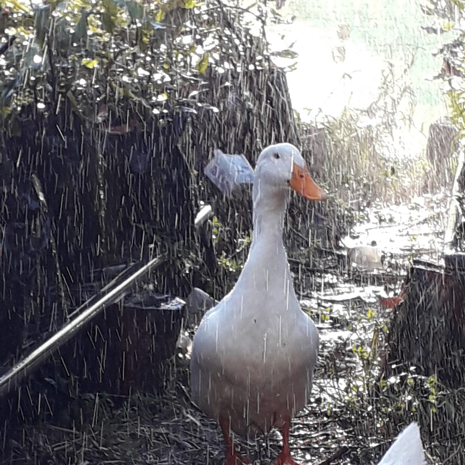 Farm Life – March 2023 Update