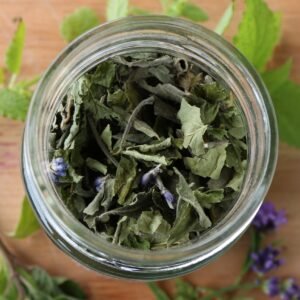 Looking in the jar top of Deep Heal herbal tea with fresh ingredients scattered around.