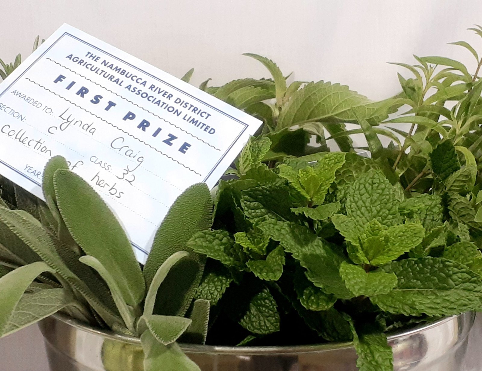 First Prize – Macksville Agricultural Show (April 2023)