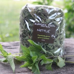 Whole-Leaf Nettle