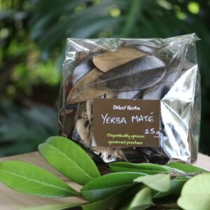 25mg bag of dried Yerba Mate with a sprig of fresh yerba mate in front